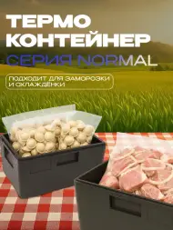 Термоконтейнер TERMOBOX Бытовой Normal, 22 л, 400х300х320 мм, 40кг/м3